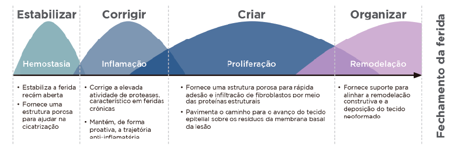 ENDOFORM ANTIMICROBIANO FECHAMENDO FERIDA